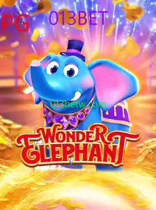WonderElephant